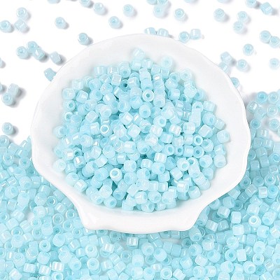 Glass Seed Beads SEED-T008-01F-1