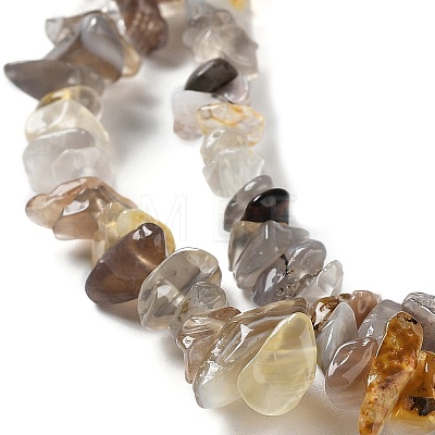 Natural Botswana Agate Beads Strands G-E607-A10-1