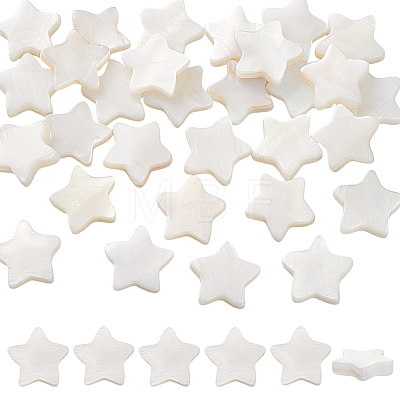 60Pcs Natural Shell Beads Strands SHEL-PH0002-30-1