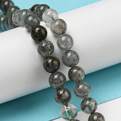 Natural Lodolite Quartz Beads Strands G-R494-A15-02-1