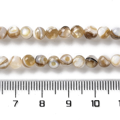 Natural Freshwater Shell Beads Strands SSHEL-B002-15-1