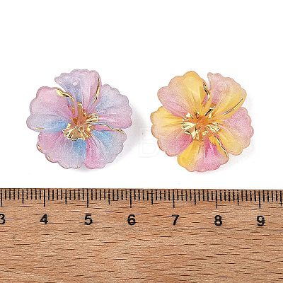 Gradient Color Resin Glitter Pendants RESI-C077-02-1