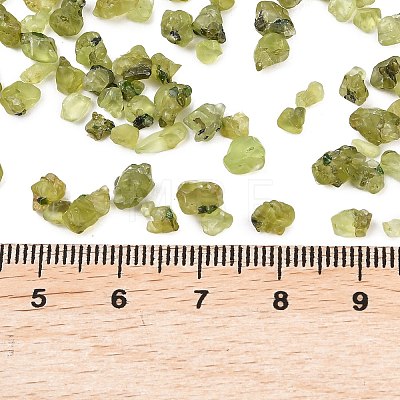 Natural Peridot Beads G-D363-A01-1