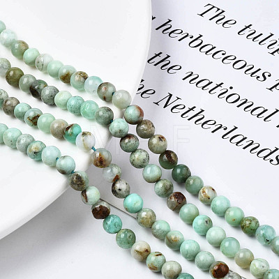 Natural Chrysoprase Beads Strands G-S333-6mm-016-1