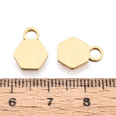 201 Stainless Steel Charms STAS-T070-13G-1