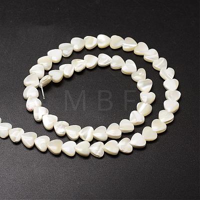 Natural Trochid Shell/Trochus Shell Beads Strands SSHEL-K012-04-1