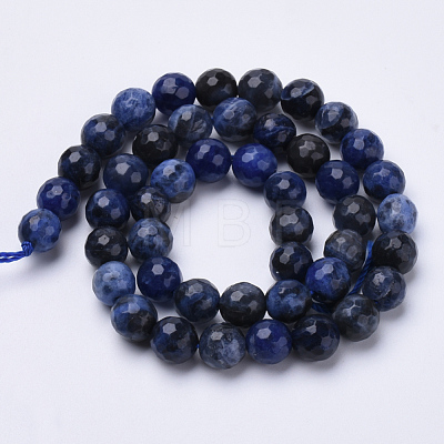 Natural Sodalite Beads Strands G-S281-07-8mm-1