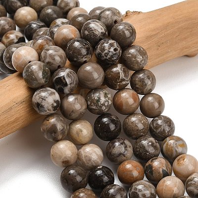 Natural Fossil Coral Beads Strands G-C288-A01-10mm-1