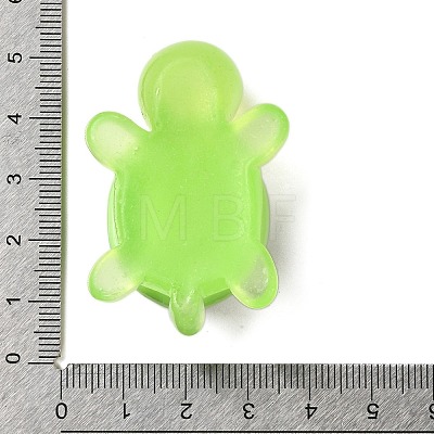 Luminous Cute Transparent Printed Resin Decoden Cabochons RESI-B026-01B-05-1