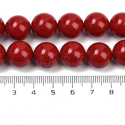 Shell Pearl Beads Strands X-BSHE-K015-14mm-01-1