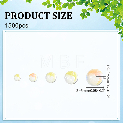 5 Bags Glass Cabochon MRMJ-WR0001-03-1