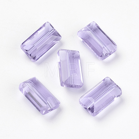 K9 Glass SWAR-F081-8x14mm-04-1