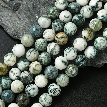 Natural Tree Agate Round Gemstone Beads Strands G-R255-10mm-1