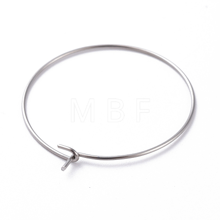 316 Surgical Stainless Steel Hoop Earring Findings STAS-J025-01D-P-1