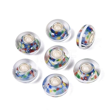 Handmade Lampwork & Brass Core European Beads LAMP-N044-09S-01-1