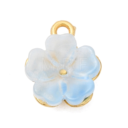 Alloy Glass Charms FIND-C079-05G-04-1