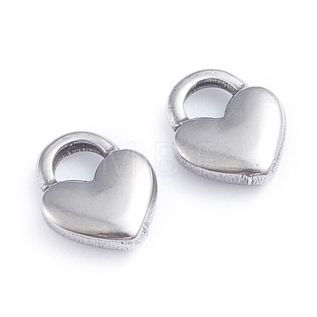 Non-Tarnish 304 Stainless Steel Charms STAS-I148-04P-1