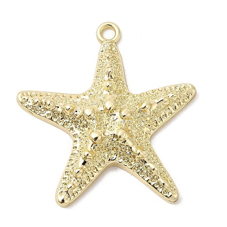Alloy Big Pendants FIND-H055-13G-1
