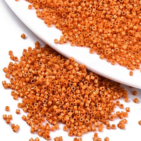 FGB 11/0 Grade A Baking Paint Glass Seed Beads X-SEED-S030-1028-1