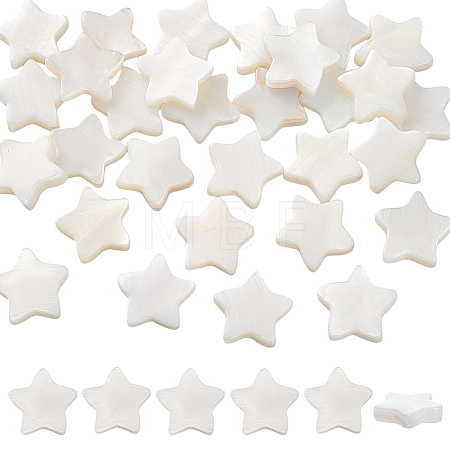 60Pcs Natural Shell Beads Strands SHEL-PH0002-30-1