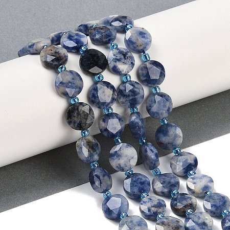 Natural Blue Spot Jasper Beads Strands G-C116-A79-01-1