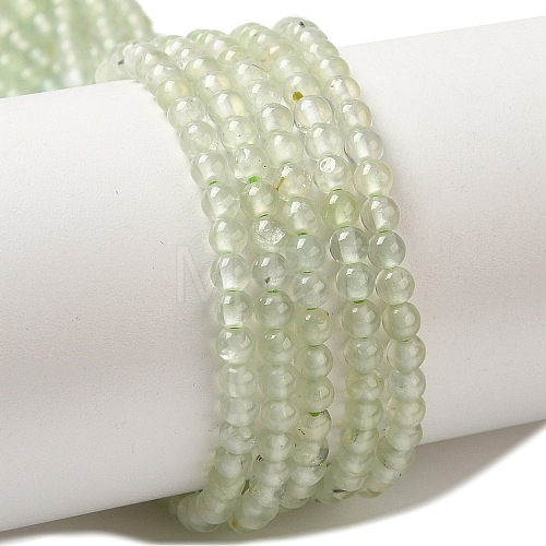 Natural Prehnite Beads Strands G-B090-A19-03-1