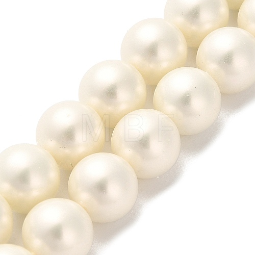 Shell Pearl Beads Strands BSHE-XCP0001-33-1