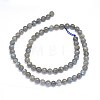 Natural Labradorite Beads Strands G-F602-04-6mm-2