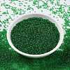 MIYUKI Round Rocailles Beads X-SEED-G009-RR0146-3