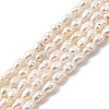 Natural Cultured Freshwater Pearl Beads Strands PEAR-I007-01O-01C-2