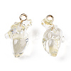 Transparent Resin Pendants RESI-E028-01G-09-2