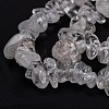 Natural Quartz Crystal Beads Strands G-G011-03-2