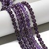 Natural Gemstone Beads Strands G-S035-9