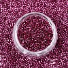 FGB 11/0 Grade A Glass Seed Beads X-SEED-S030-1211-3