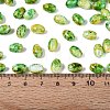 Glass Seed Beads SEED-T009-02K-4