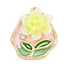 Alloy Enamel Pendants RB-CBA01F2-01G-D-1