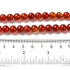 Natural Carnelian Beads Strands G-G390-8mm-03-3