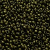 TOHO 6/0 Round Beads SEED-TR06-0617-4