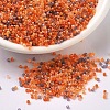 MIYUKI Delica Beads SEED-J020-DB2062-1