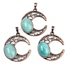 Natural Amazonite Pendants G-A315-05R-1