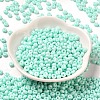 Baking Paint Glass Seed Beads SEED-B001-02A-14-2