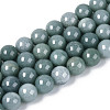 Natural Jadeite Beads Strands G-N353-07C-01-2