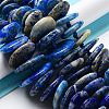 Natural Lapis Lazuli Beads Strands G-M406-B01-3