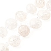 Natural Crackle Quartz Beads Strands G-H312-B01-2