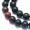 Natural Bloodstone Beads Strands G-K310-C04-8mm-3