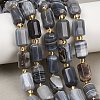 Natural Botswana Agate Beads Strands G-P611-A01-01-1