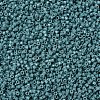 MIYUKI Delica Beads X-SEED-J020-DB2131-3