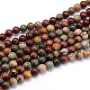 Natural Polychrome Jasper/Picasso Stone/Picasso Jasper Round Bead Strands G-J303-16-10mm-1