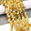 Natural Topaz Jade Chip Beads Strands G-M205-16A-2