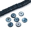 Natural Freshwater Shell Beads Strands SHEL-N037-03A-02-1
